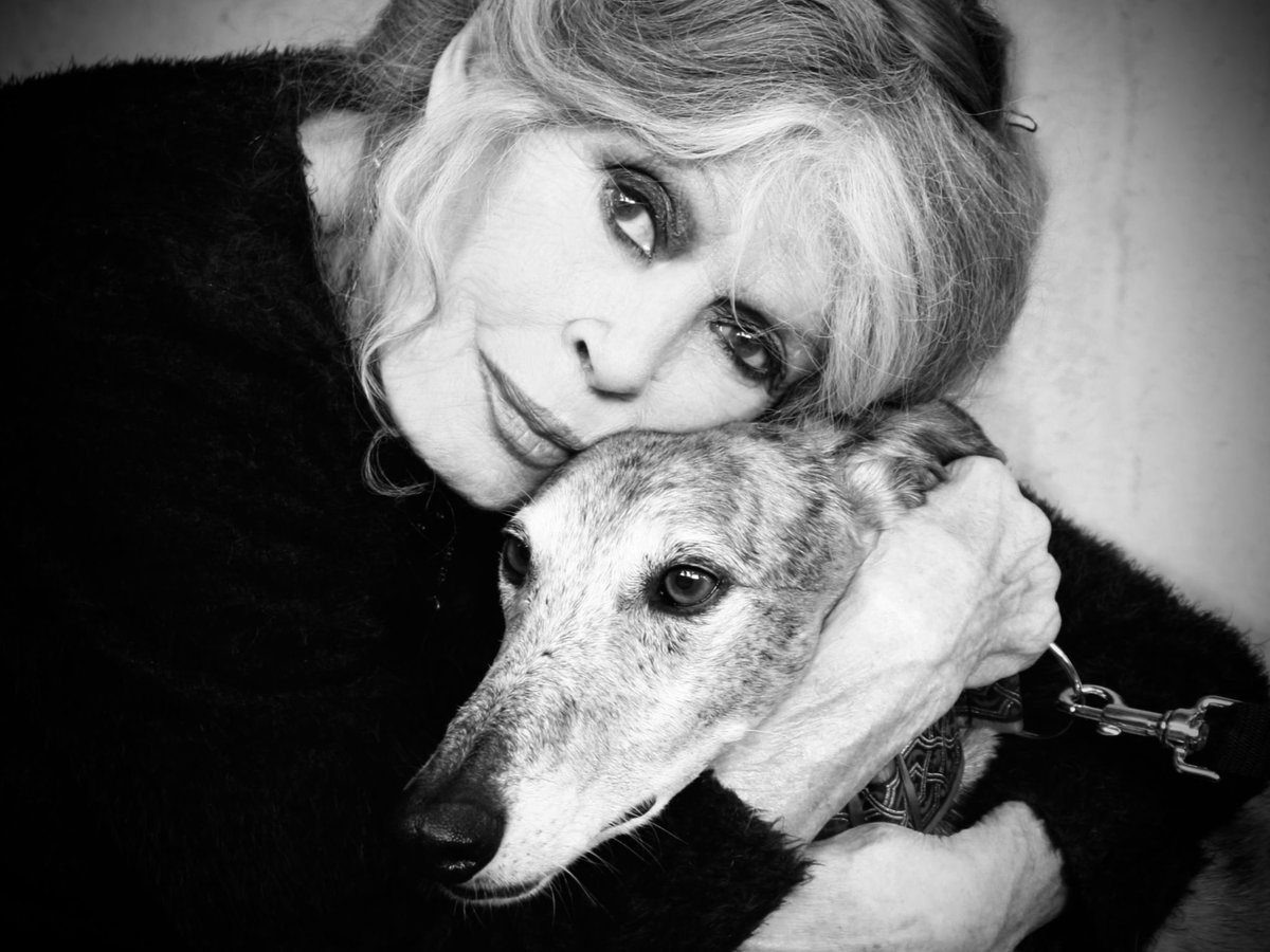 david_rachline's tweet photo. C’est avec une infinie tristesse que nous apprenons le départ de Brigitte Bardot, icône du 7ᵉ art, muse d’un cinéma libre et audacieux qui a marqué durablement la scène internationale, porte-parole infatigable de la cause animale, et figure d’une générosité d’âme qui continuera d’éclairer nos mémoires.

Dans ce moment de deuil, les mots semblent bien faibles pour dire toute la dette que nous avons envers elle.
Mais je veux croire que Brigitte Bardot ne s’éteint pas vraiment. Qu’elle continue, à travers ses combats, à inspirer ceux et celles qui refusent la résignation.
Que cet hommage soit un appel à agir, chacune à notre mesure, pour les animaux, pour la douceur, pour la justice.

Adieu, chère BB. Ton nom restera gravé dans les cœurs, et ton souffle de liberté continuera de vibrer.
Merci pour ce que tu as été et pour ce que tu nous arraches à devenir. 🕊️