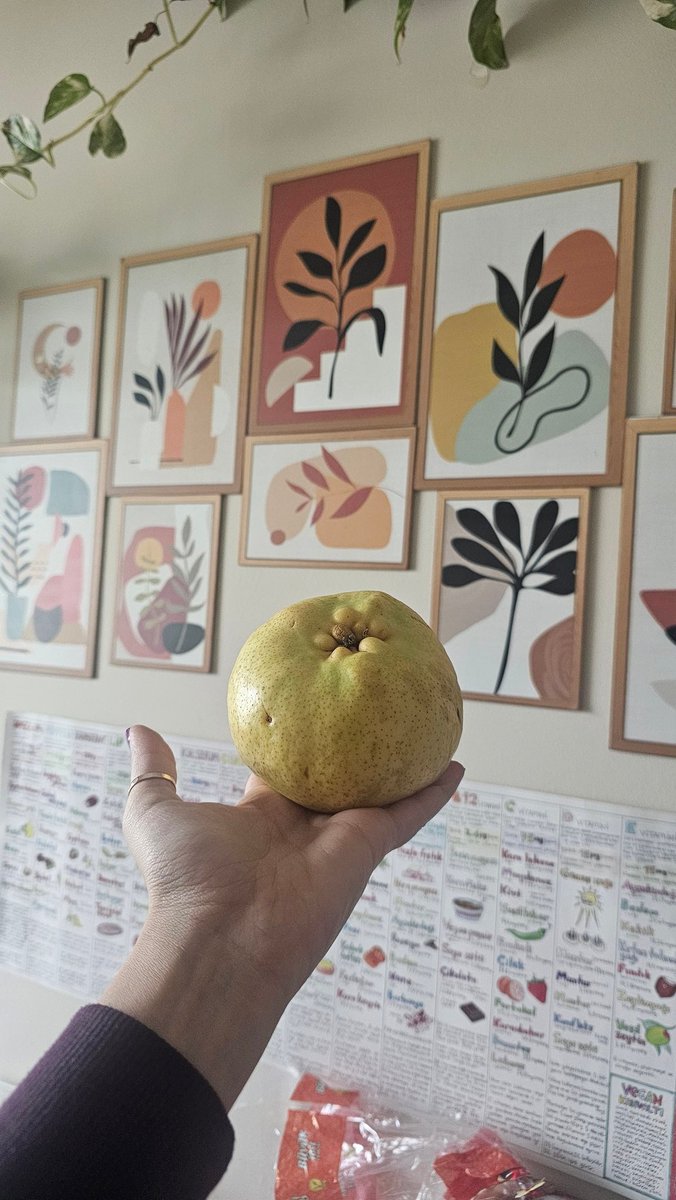 Yarım kilo armut sipariş ettim 1 adet devasa geldi. Üzücü