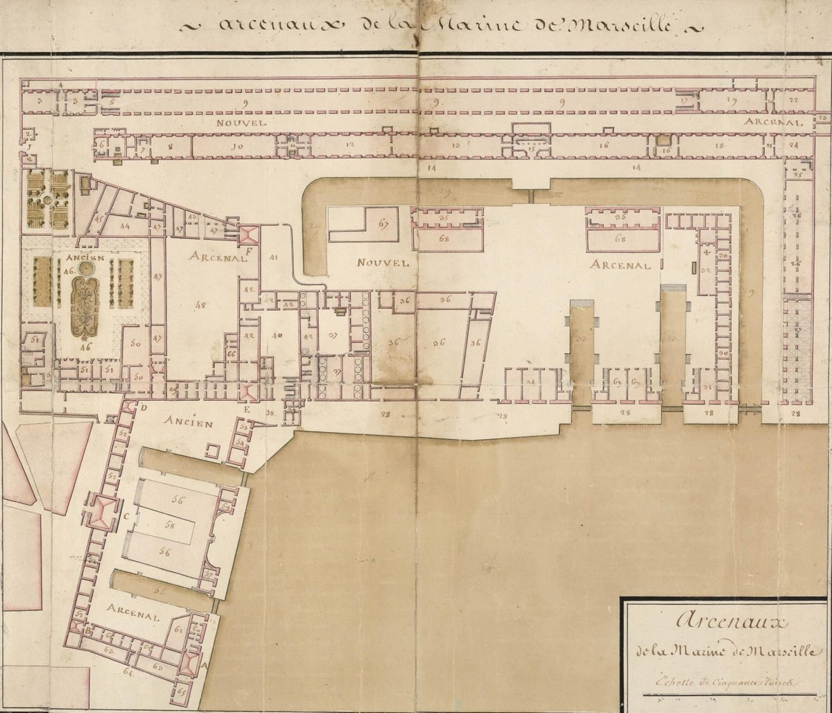 Judith AZIZA tweet media