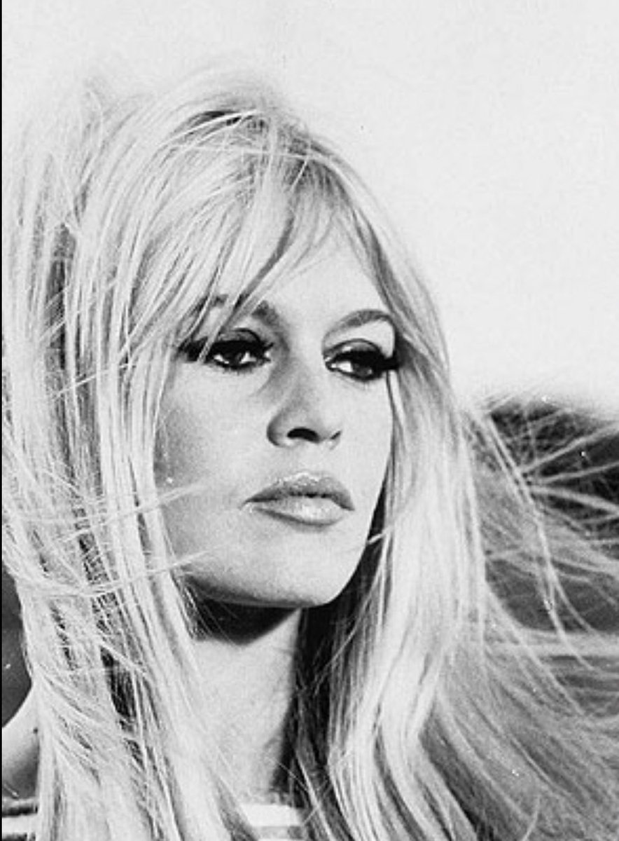 LBleuBlancRouge's tweet image. Les commentaires qui pullulent sur la disparition de Brigitte sont abjectes. Je ne parviens pas à concevoir comment une personne peut se réjouir de la mort de Brigitte Bardot. Cela me dépasse, sauf à conclure que quelque chose de profond s’est perdu dans notre Société.

On peut…