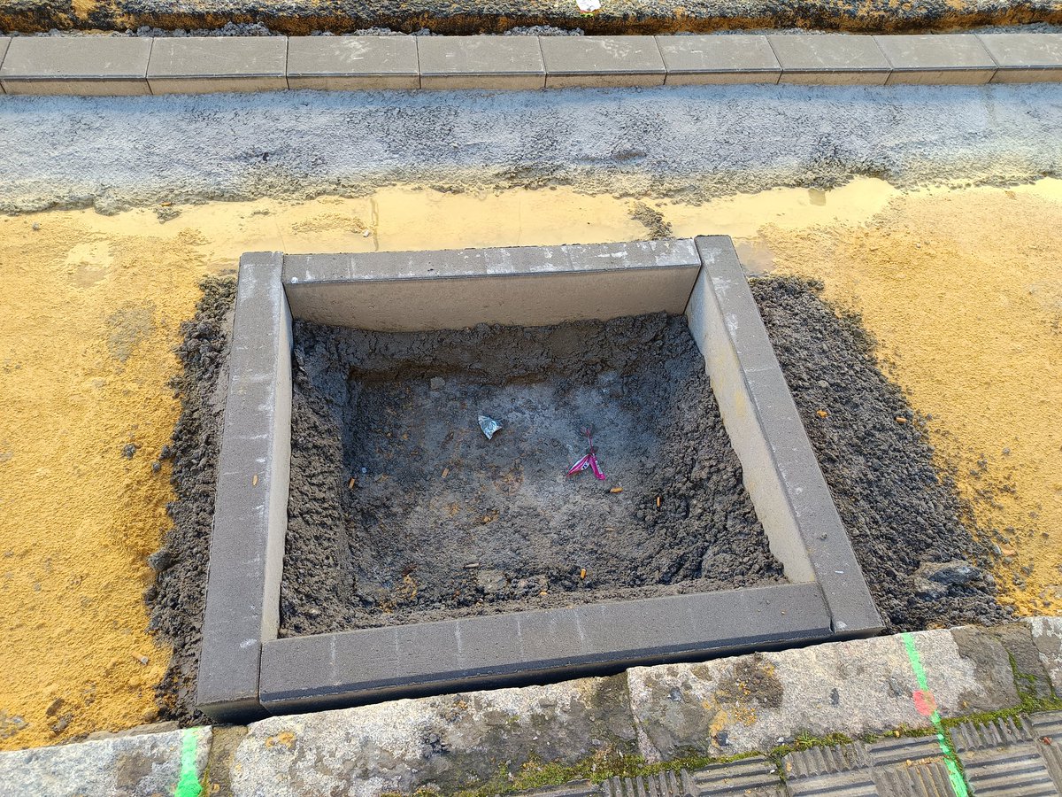 sevillasemueve's tweet photo. Hola @Ayto_Sevilla, qué tipo de arbolado se pretende plantar en la calle Madreselva, capaz de crecer sobre el hormigón?
@marialuisaPYJ @eveliarincon https://t.co/nQFipuW7G2
