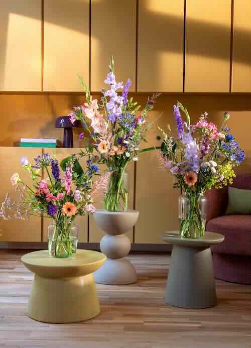 Suzanne Koudijs, bloemstylist bij Bloomon, vertelt aan de hand van haar drie moodboards wat we kunnen verwachten in het nieuwe jaar.

Lees meer over de #trends #kleuren en #stijl op #GroenVandaag

groenvandaag.nl/dit-zijn-volge…