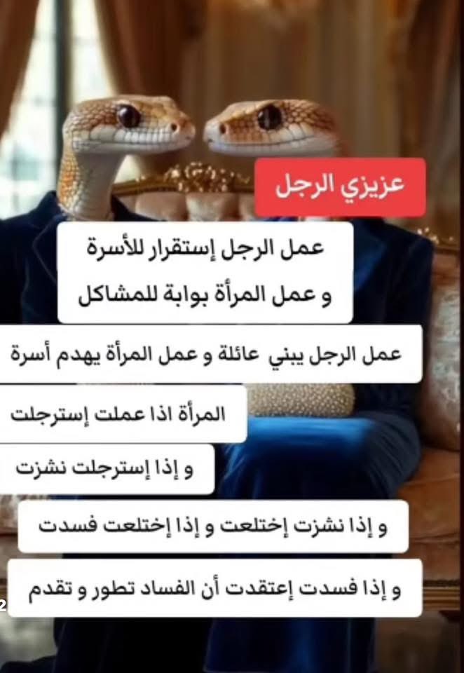 قطوس الموز (@banacattt) on Twitter photo 