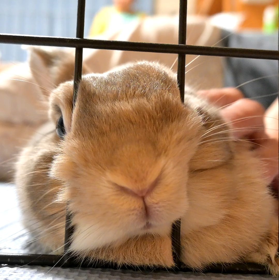 挟まり系女子です🤤