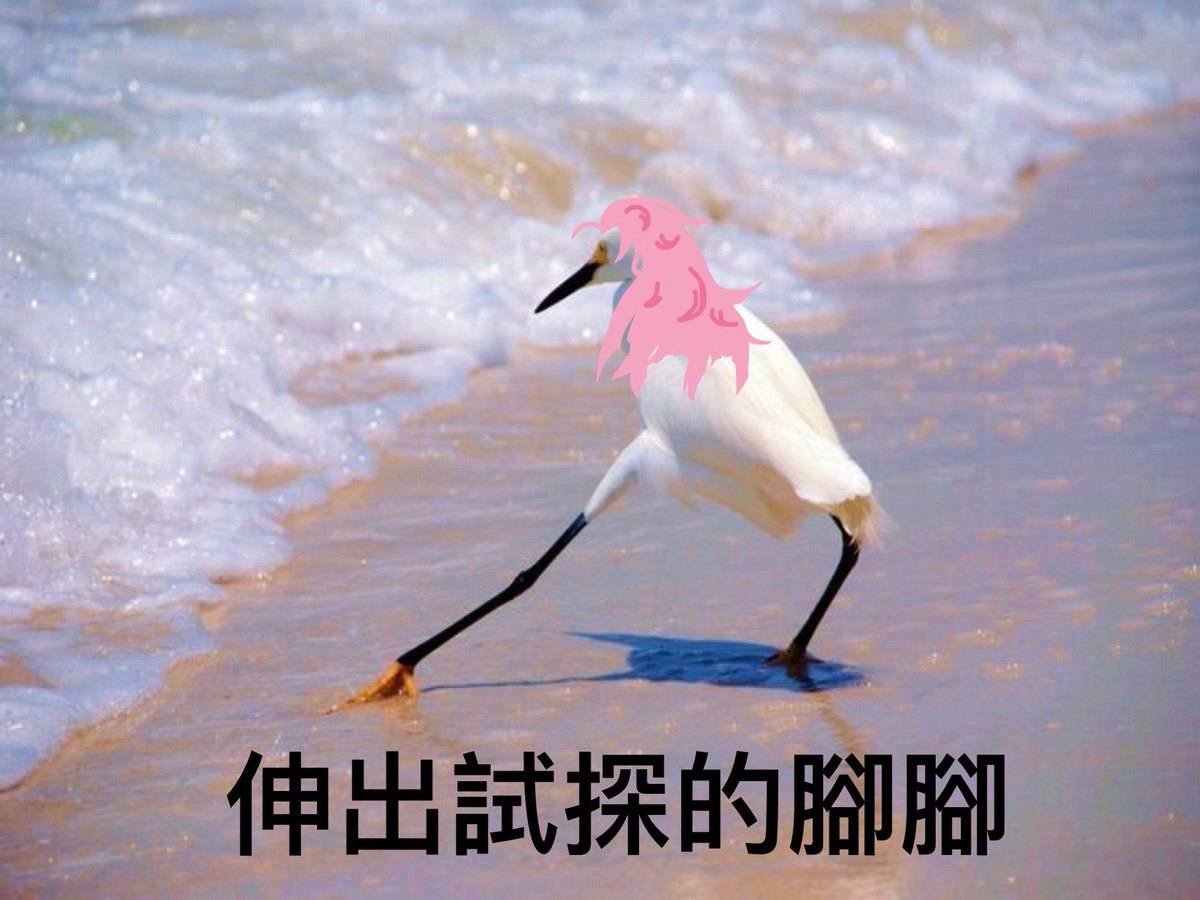 大家知道該做甚麼了對嗎？🐾