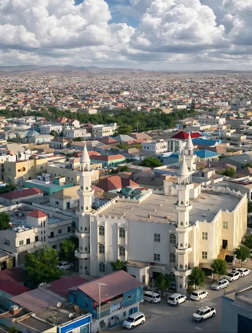 Bosaso and visible blue economy. 

A_C