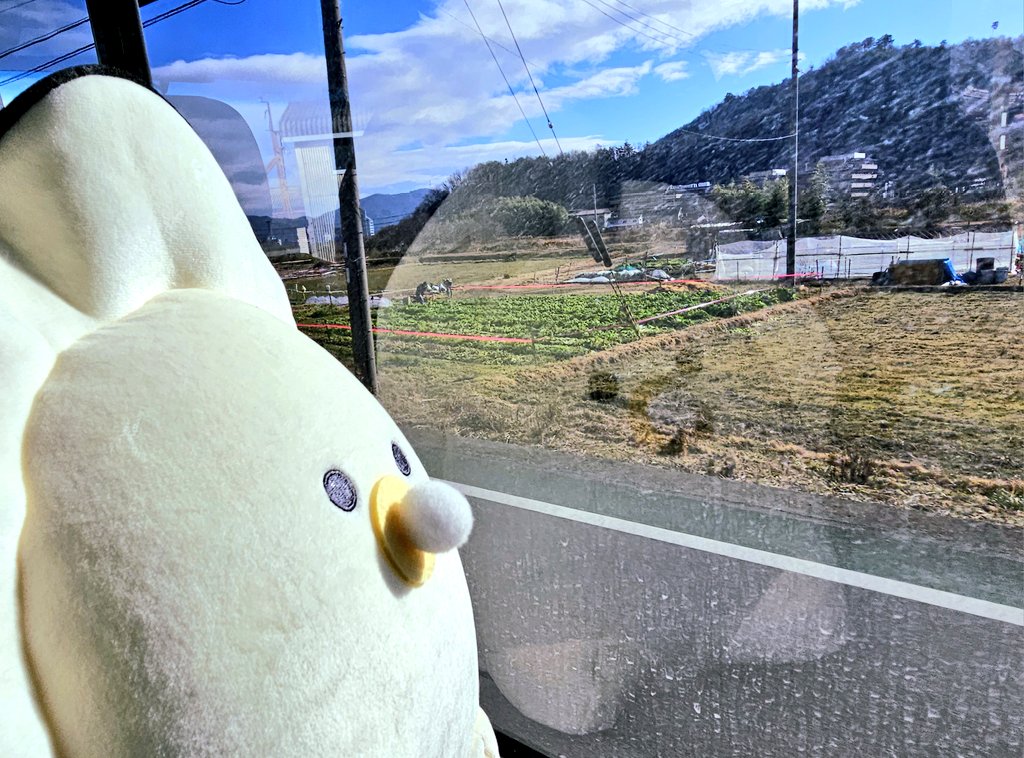 きんちゃん🐳 (@y_taiyo_98) / Posts / X