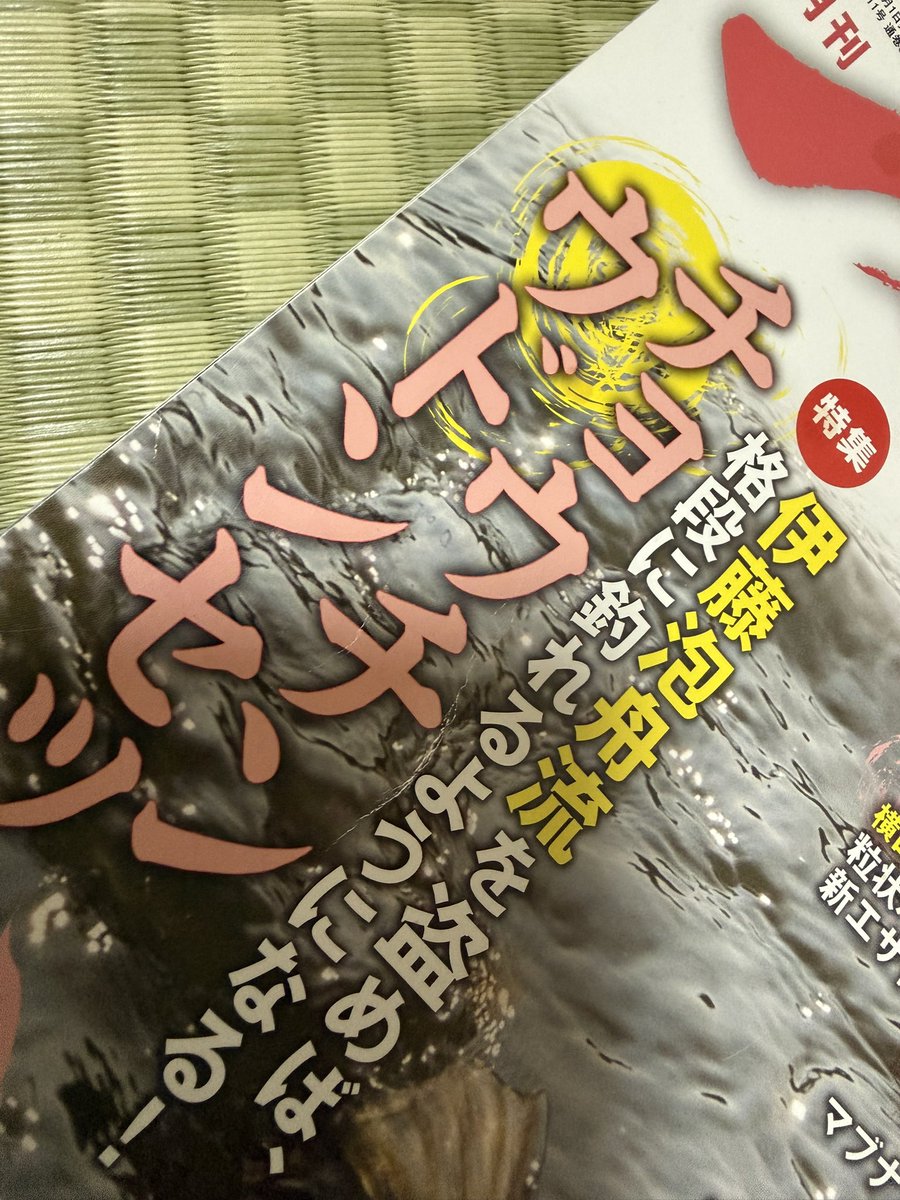 へら専科さま ②ほーちゃんの特集記事を組んでくださいました。
