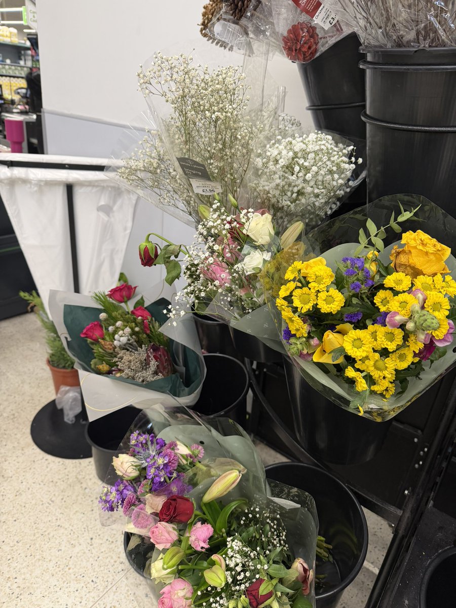 Benlavo's tweet photo. @asda why is no one in your Broadstairs store watering the plants https://t.co/CRo8D5fSk2