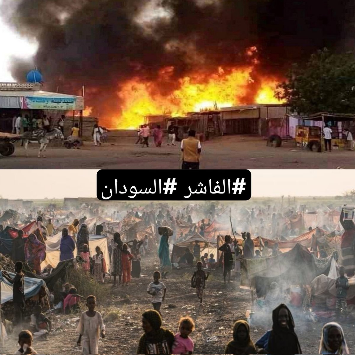 Hassan Berkia tweet media