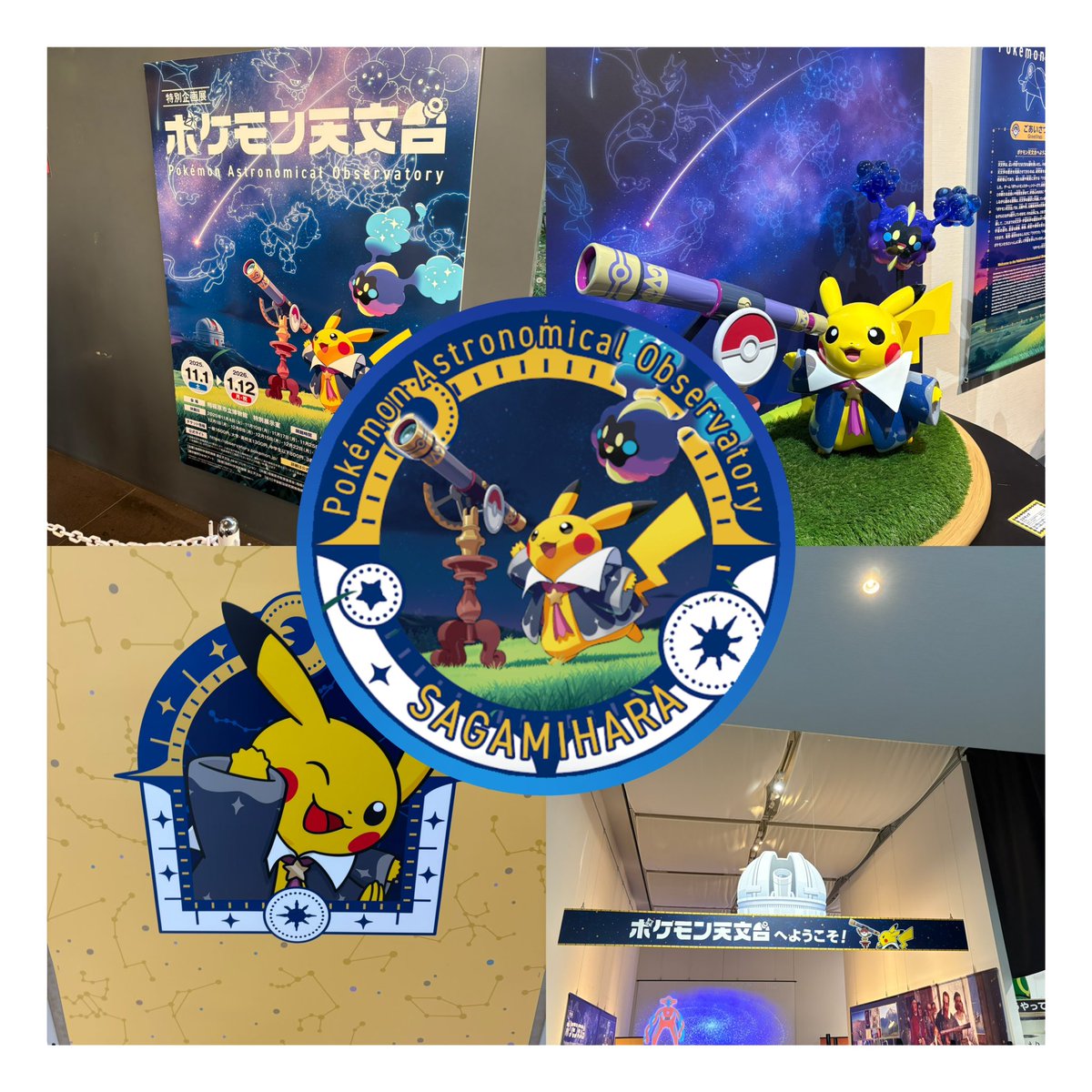 相模原　ポケモン天文台12点まとめ売り ポケモン天文台【相模原市立博物館】 綺麗なポケモンが沢山いて