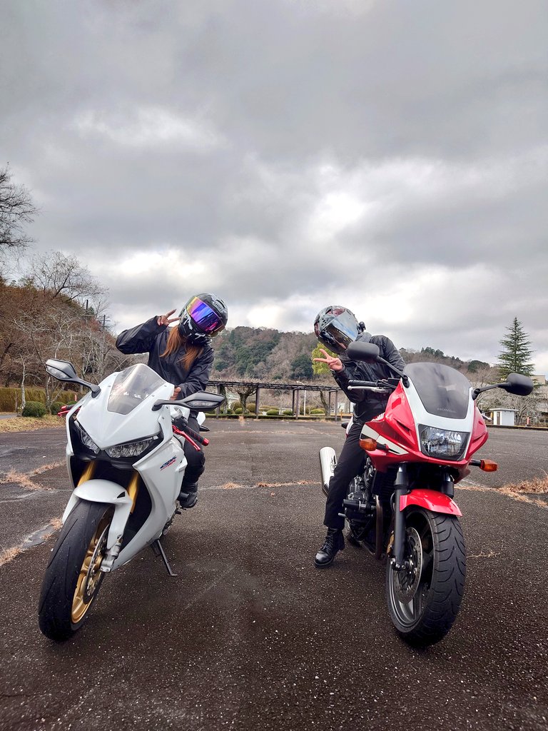 タレちゃん🏍 (@GaroRei) / Posts / X