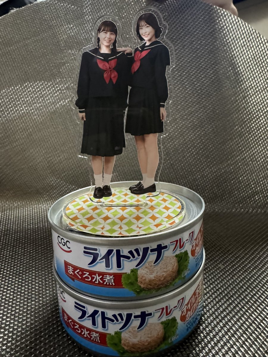 ザッキーナ (@Dgv6G) / Posts / X