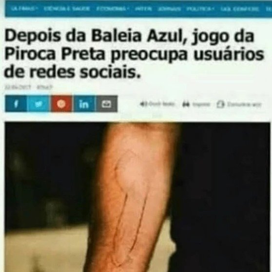 AnaliseDeCalvos's tweet image. 