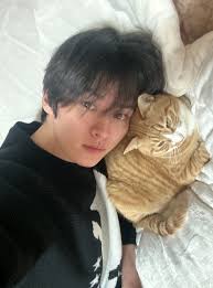 tetelinos's tweet image. the concept is gentle cat boys having cats