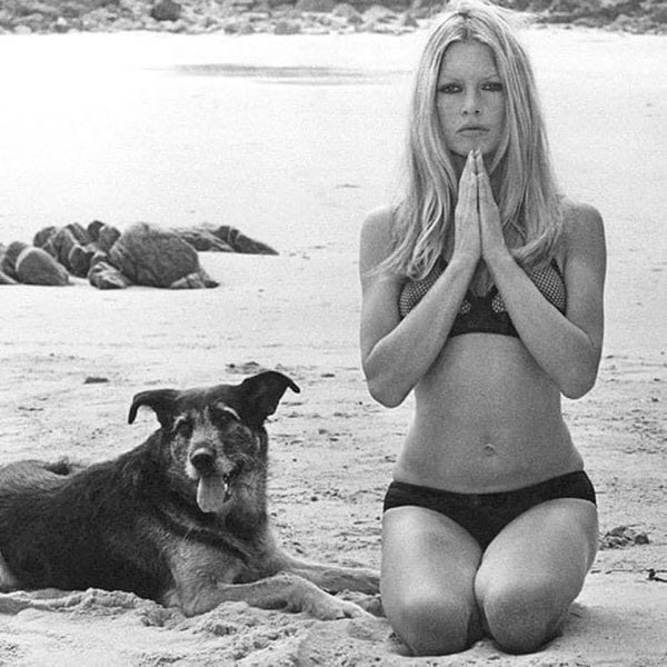 R.I.P Brigitte Bardot 🤍

During one movie, there was a little goat on set. The owner said hurry ...