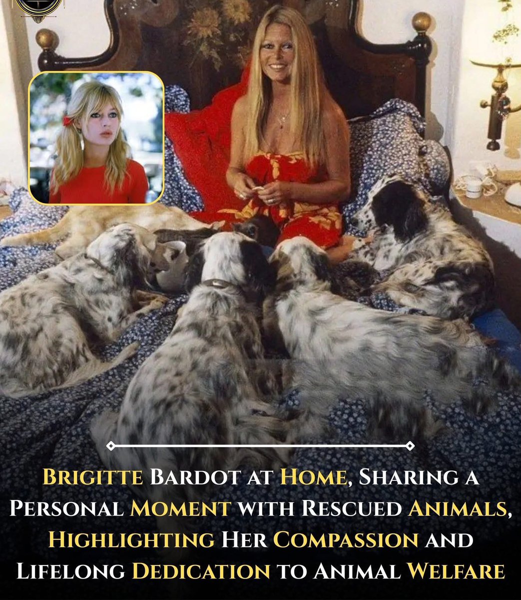 MrPitbull07's tweet image. When fame still wanted more from her, she walked away.
Not toward peace.
But toward suffering—where no cameras followed and no applause waited.

She walked into slaughterhouses others refused to see.
She stood on frozen ice beside seals marked for death.
She opened her home to…