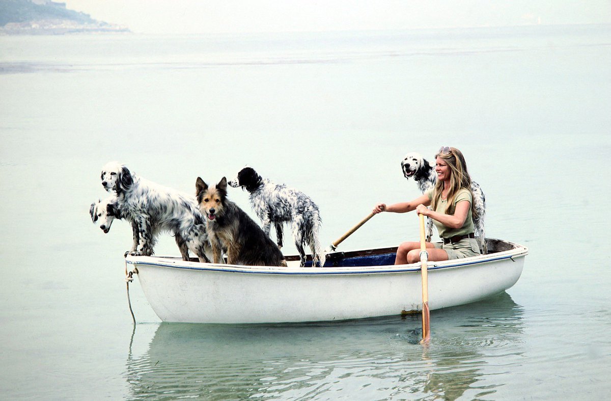 ⚫️ Décès de Brigitte Bardot à Saint-Tropez : édition spéciale de <a href="/Var_Matin/">Var-matin</a> ce lundi