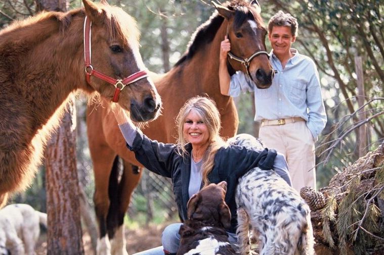 Guitare Musique🐱🎸🎤🥋成龍 🇨🇳 日本 🇯🇵 tweet media
