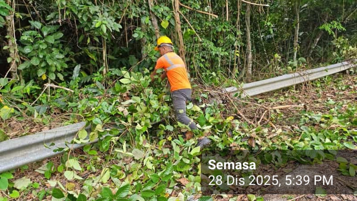 Roadcare Lipis Cameron tweet media