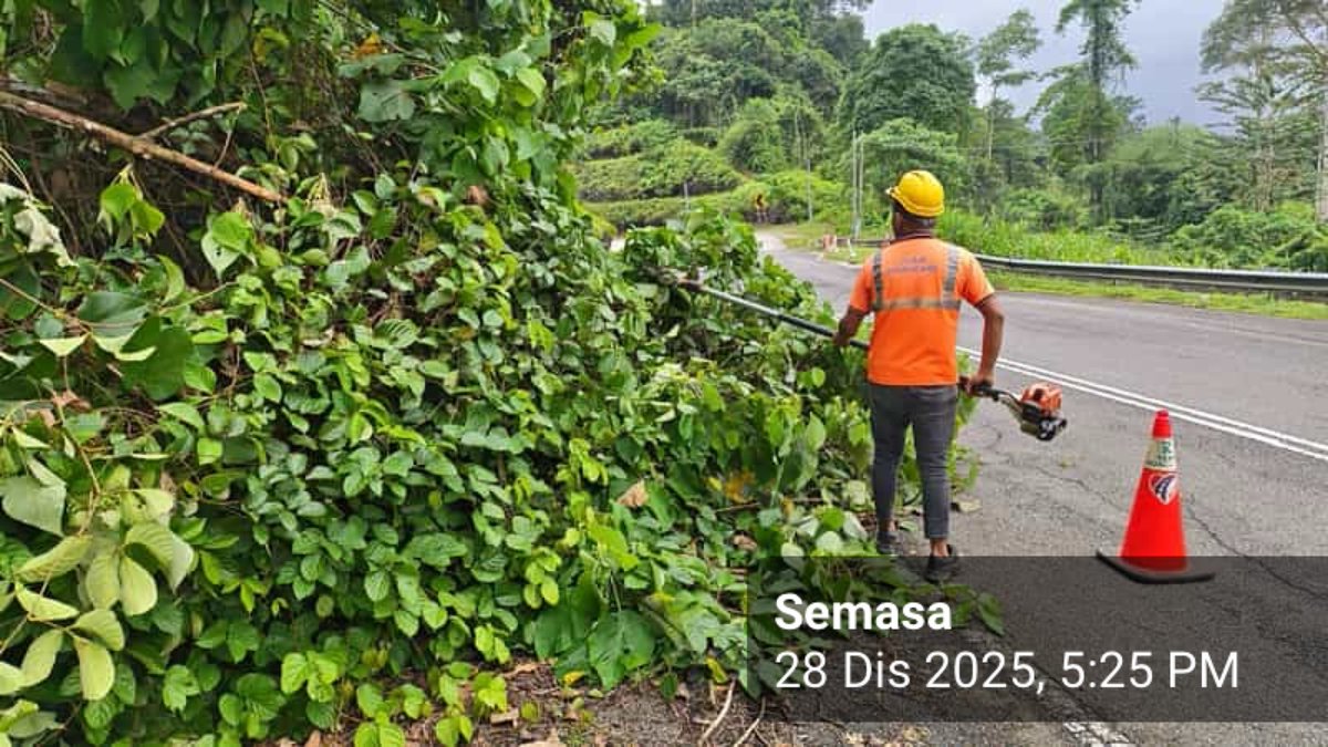 Roadcare Lipis Cameron tweet media