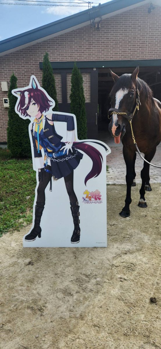 Versailles_Farm's tweet image. 🌍 To Uma Musume fans around the world 🌍

This is Versailles Resort Farm in Hokkaido, Japan.
It is a place where horses who once ran on the racetrack now live calmly, safely, and with care.

At our farm live:
•Tanino Gimlet
•Transcend
•Wonder Acute
•Eishin Flash

Through…