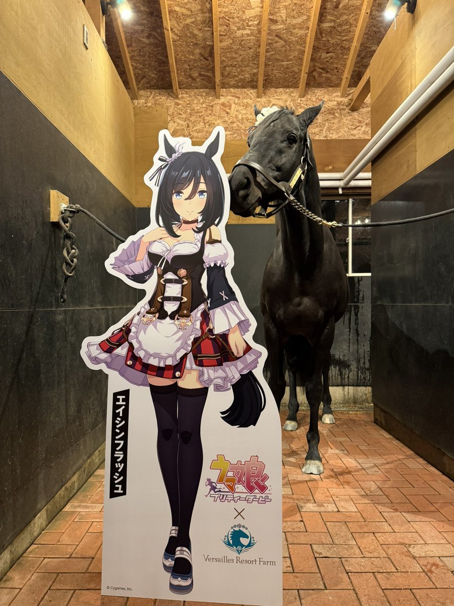 Versailles_Farm's tweet image. 🌍 To Uma Musume fans around the world 🌍

This is Versailles Resort Farm in Hokkaido, Japan.
It is a place where horses who once ran on the racetrack now live calmly, safely, and with care.

At our farm live:
•Tanino Gimlet
•Transcend
•Wonder Acute
•Eishin Flash

Through…