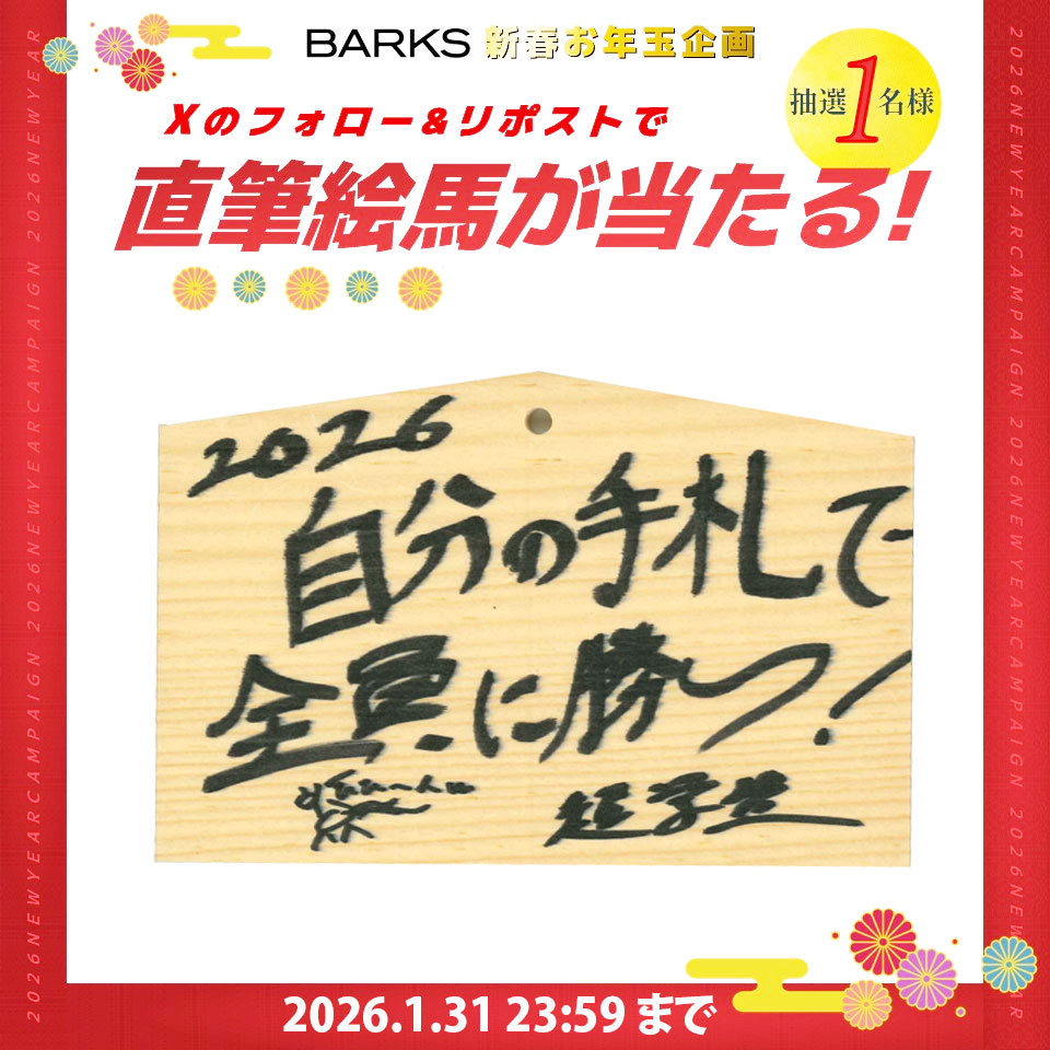 BARKS編集部 tweet media