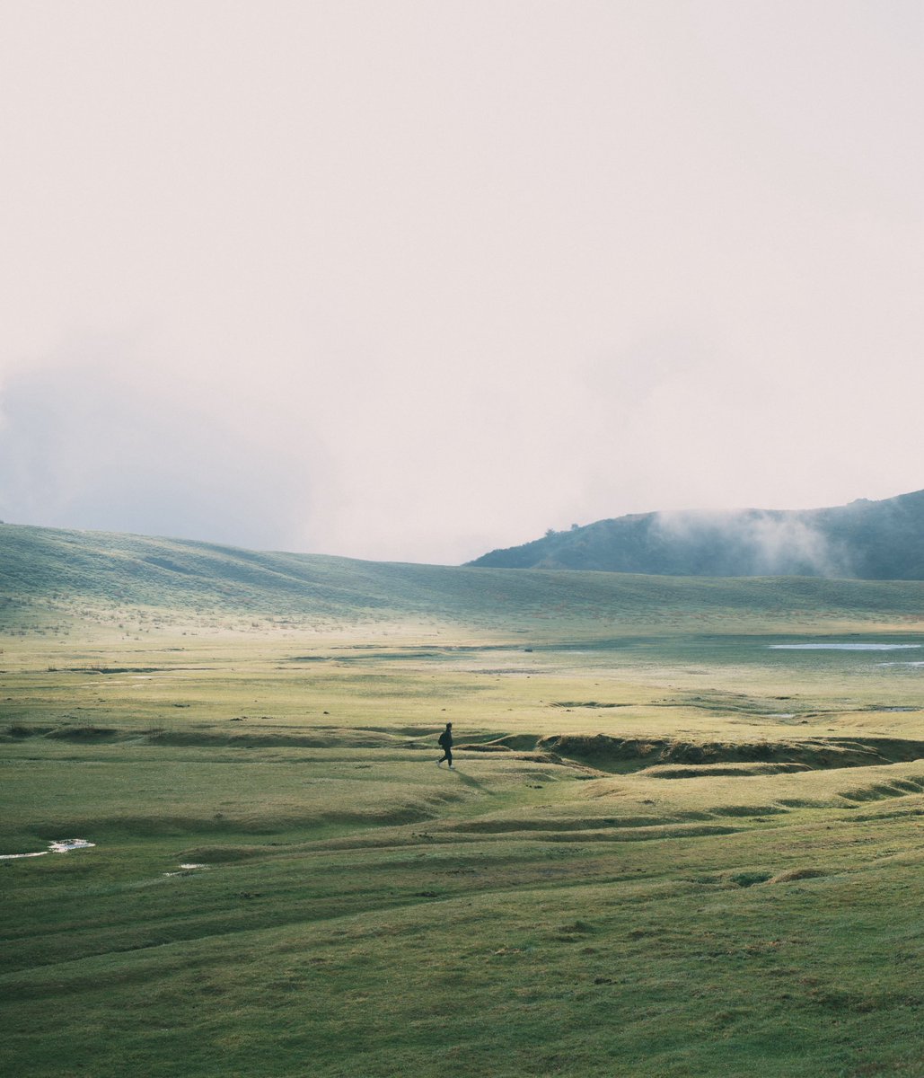 tomoki_tokunaga's tweet image. 2025年は5回くらい草千里に行って、そのたびに違う表情を見ることができた。