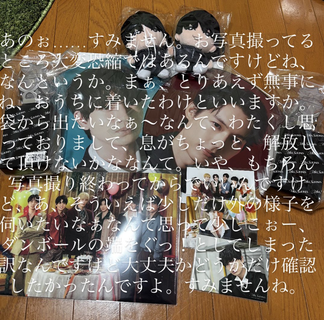 こっちゃん🦔🦅 (@st_51koto530) / Posts / X