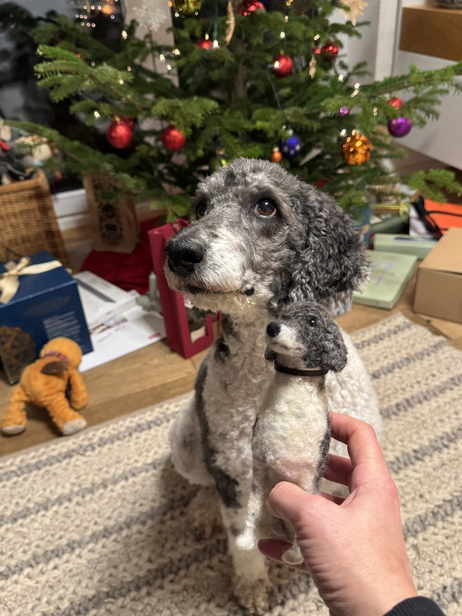 Und weil einige gefragt haben wer mich denn kopiert hat in Filz kann hier schauen instagram.com/filzkoeppe?igs…