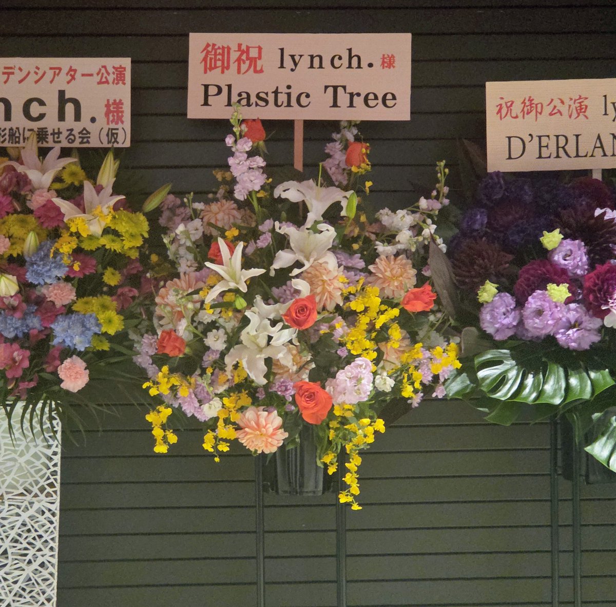 hanairo0bgo's tweet photo. プラからお花きてました。プラも行きたかったなぁ。 https://t.co/FSfTbitUhg
