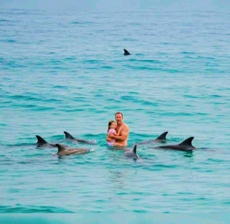 ocean jain tweet media