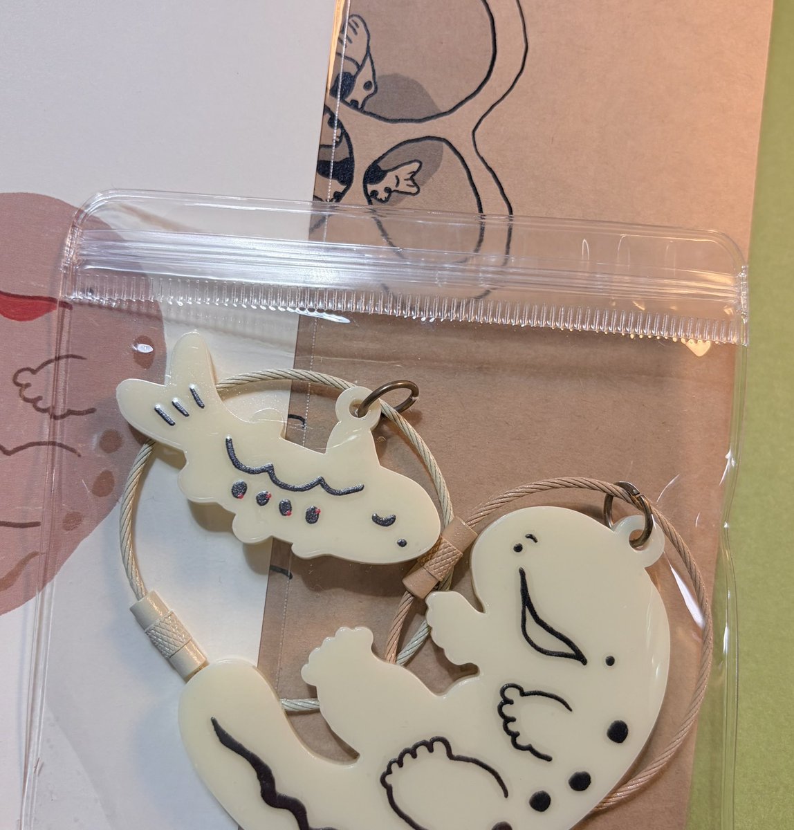 オオサンショウウオ福袋！ こっそり愉快なおまけつき。なにが入るの