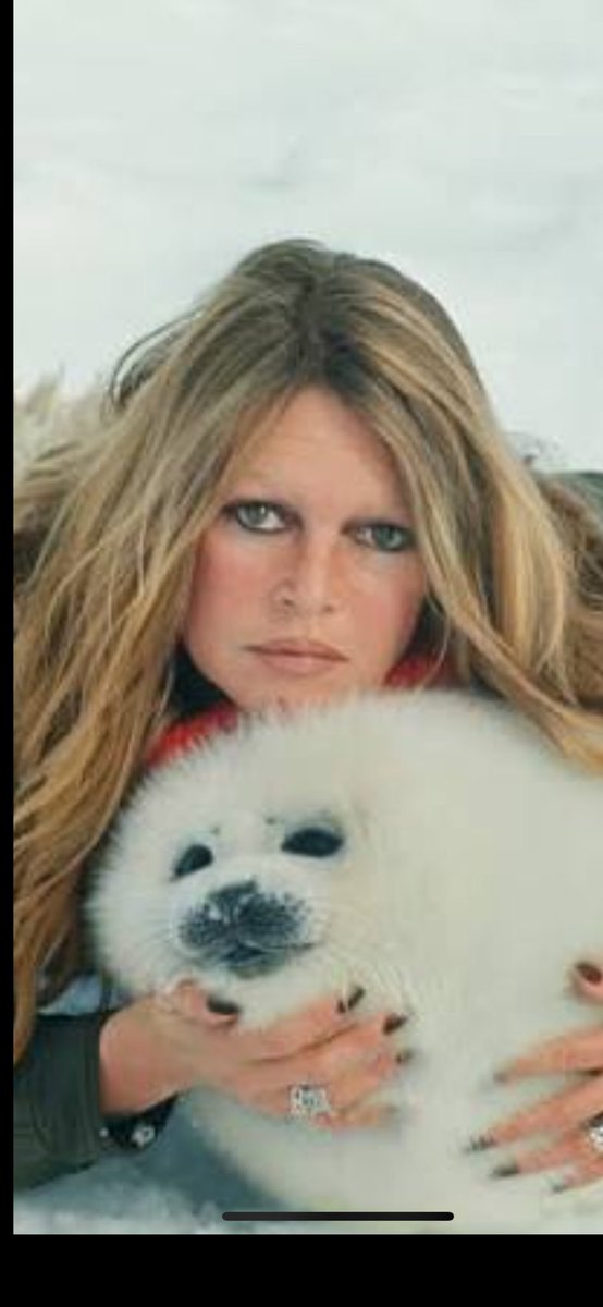 pierrelescure's tweet photo. Sa beauté dingue et comme nouvelle, absolue et effrontée.
Sa fantaisie,ses rôles multiples  …et tous ceux qu’elle a décidé si jeune de ne plus attendre. Car elle avait autre chose à faire de sa vie…
Destin unique: icône tellement intelligente, courageuse et libre.
🌹🖤🌹 https://t.co/OLR6gtTjP2