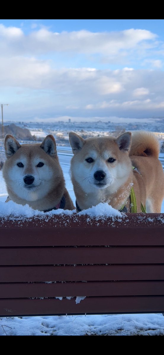 yokota4839 (@yokota4839) / Posts / X