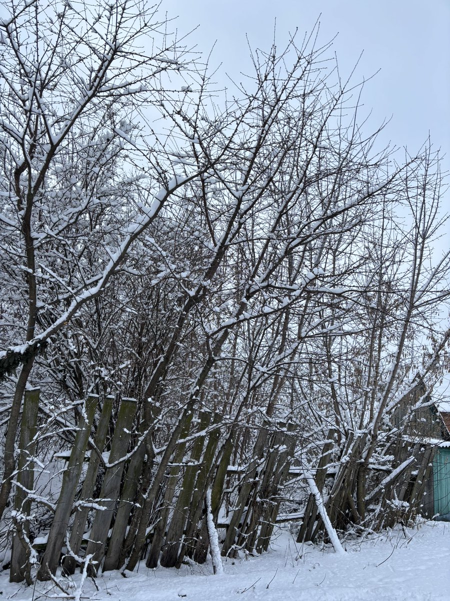Загальна команда:
Сніг не їсти це на Новий Рік🎅