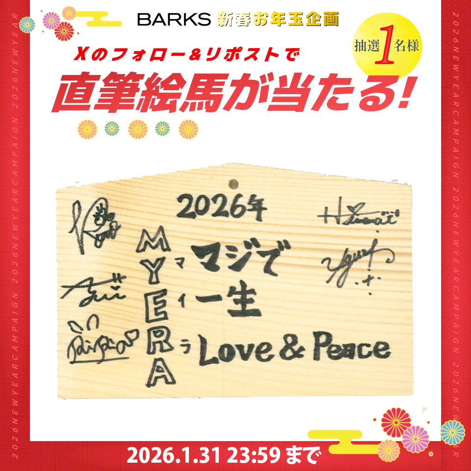 BARKS編集部 tweet media