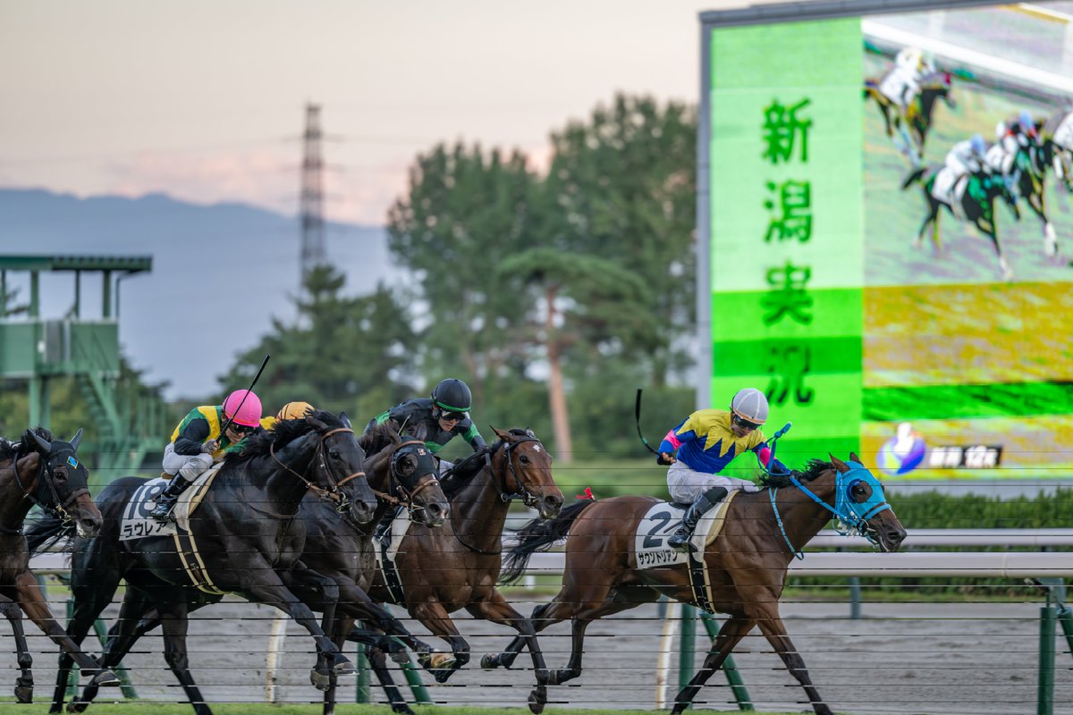 E3%83%A9%E3%82%B9%E3%83%88%E3%83%AC%E3%82%AC%E3%82%B7%E3%83%BC