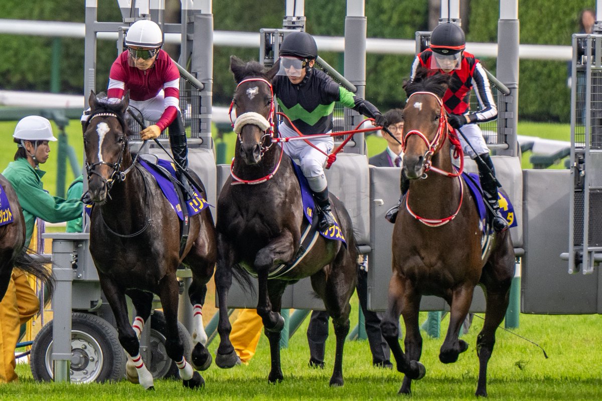 E3%83%A9%E3%82%B9%E3%83%88%E3%83%AC%E3%82%AC%E3%82%B7%E3%83%BC