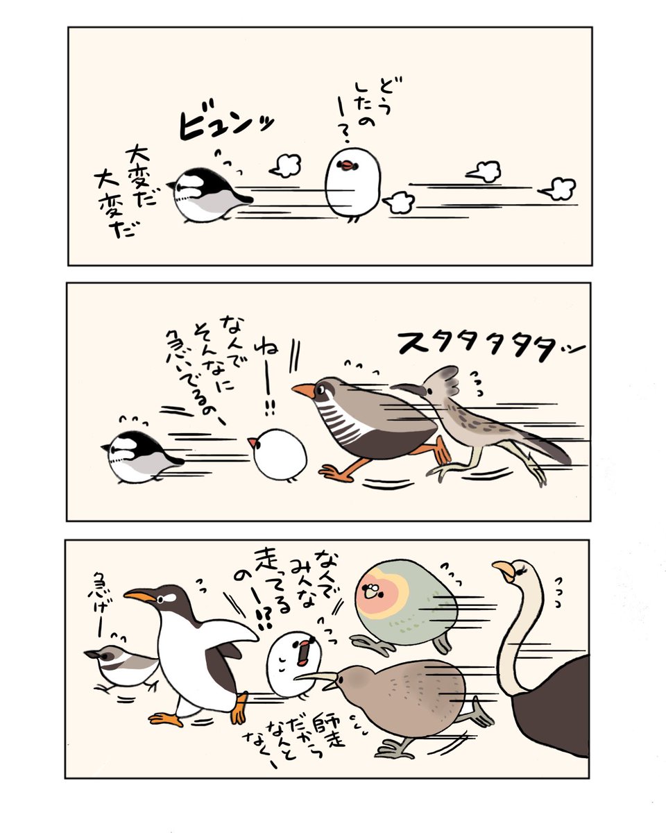 鳥たちも師走(再掲) 