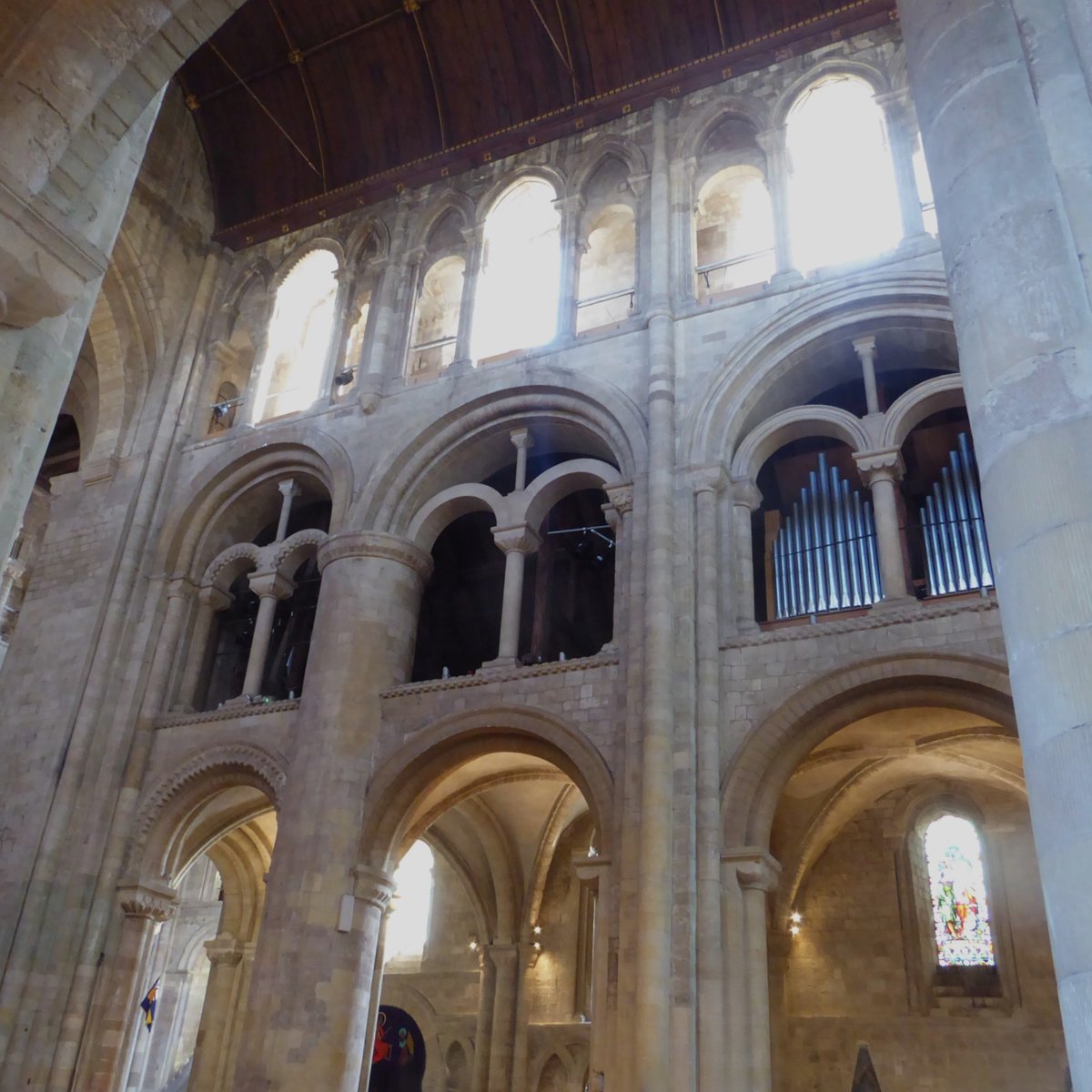 CatherineRosamundLowe tweet media