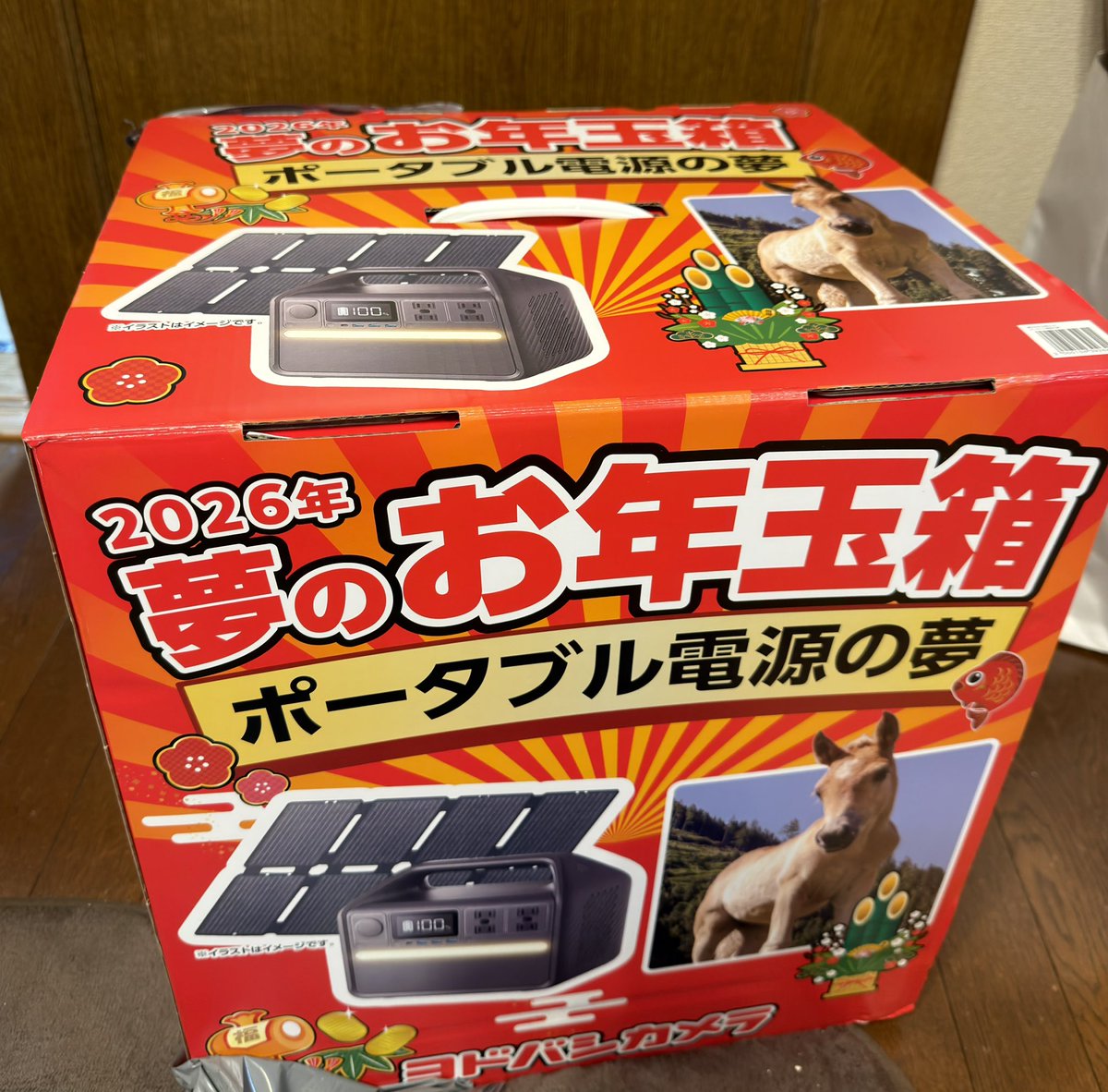 ヨドバシカメラの夢のお年玉箱「ポータブル電源の夢」が届きました