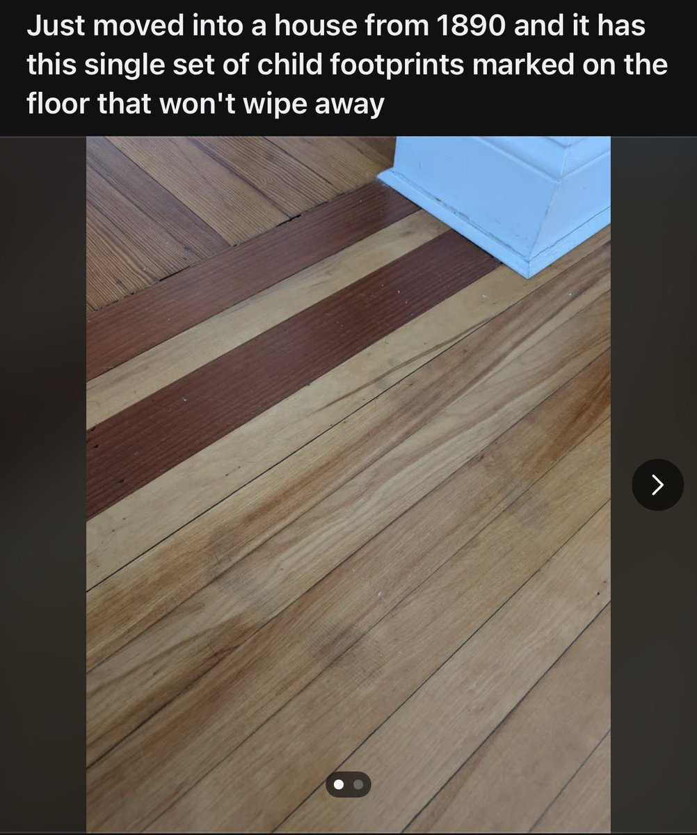 FN_based's tweet image. a rug costs $30