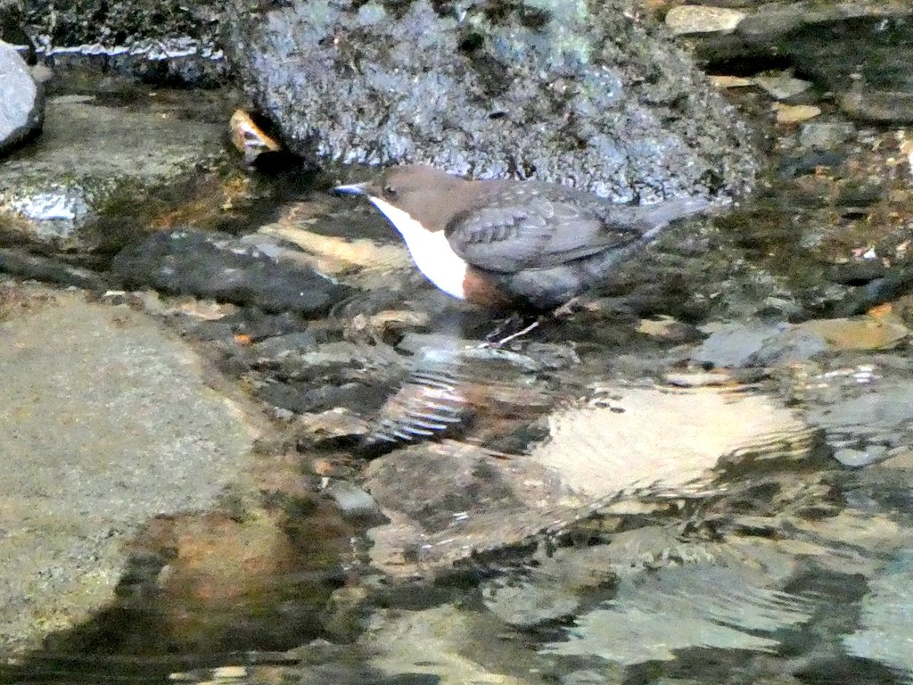 Tim Webster tweet media