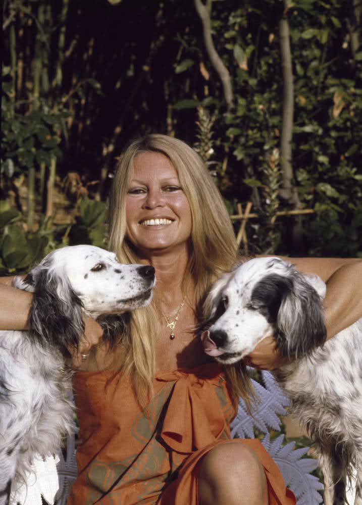 #BrigitteBardot 🙏❤️🪽