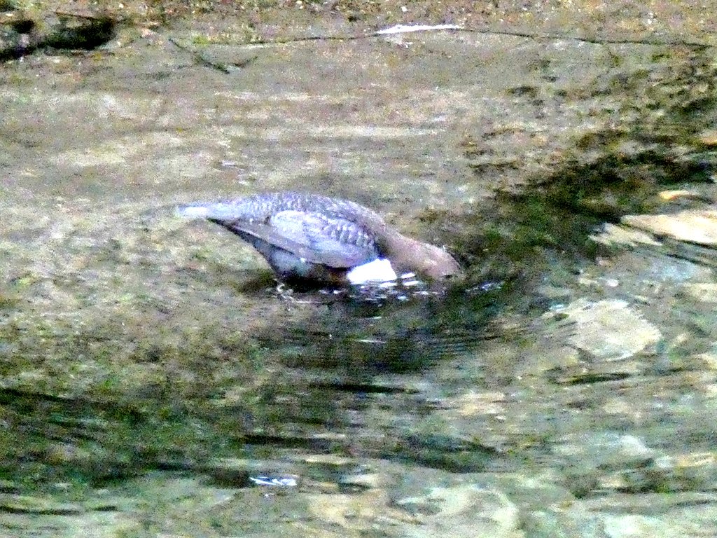 Tim Webster tweet media