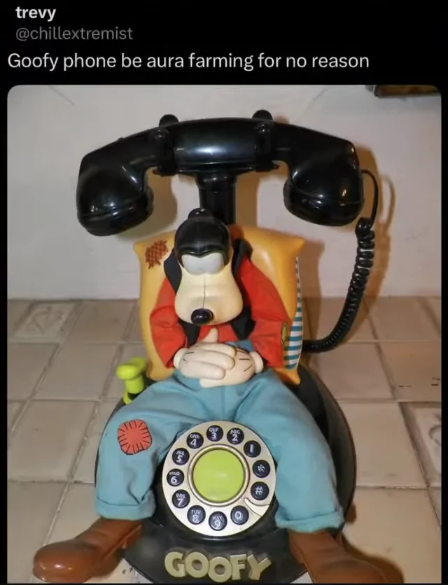 Aura the Cat Vlogs (@vlogsaura) on Twitter photo 