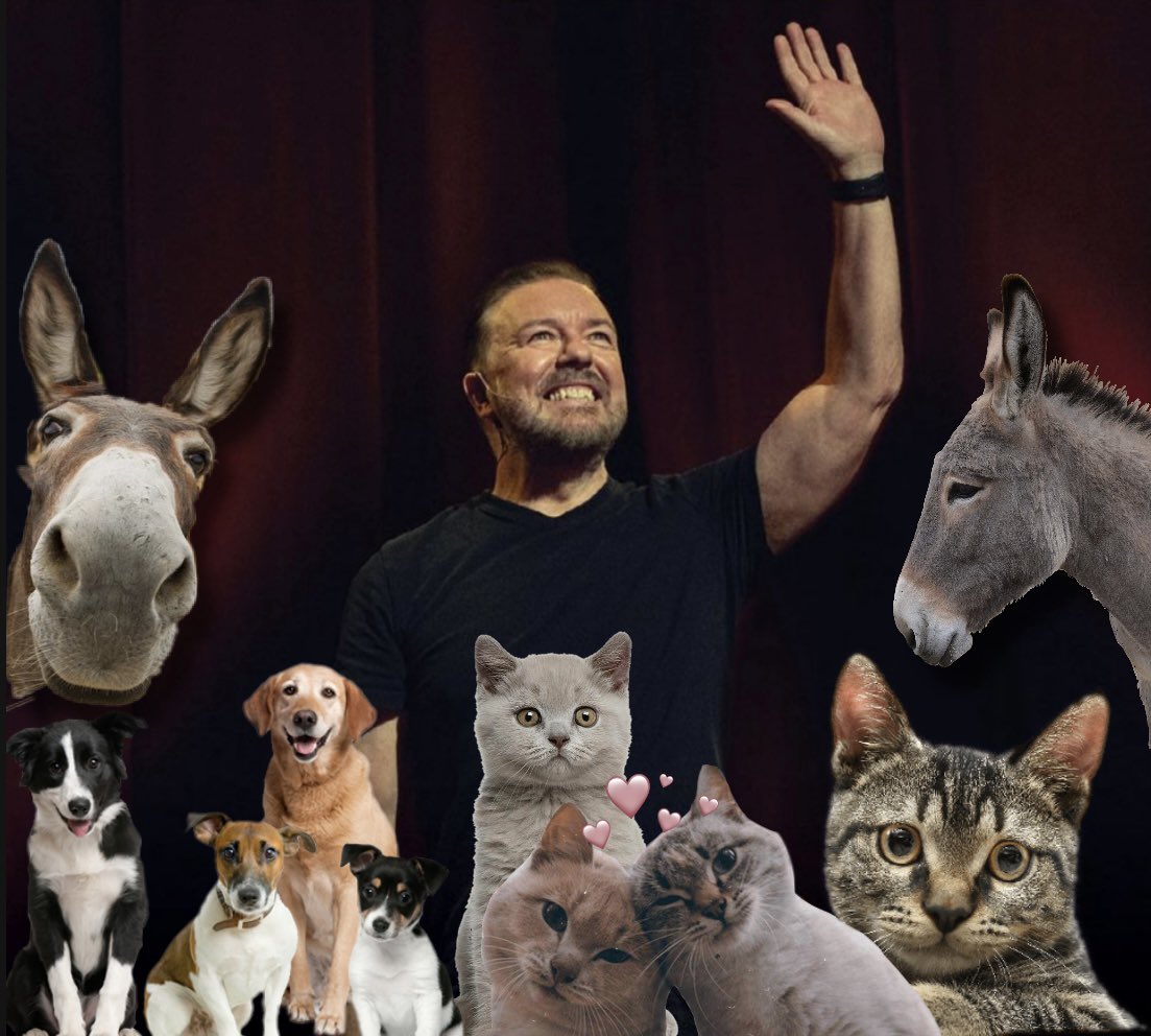 ForAntilly's tweet photo. Stand-up legend Ricky Gervais has just donated £2.4 million to charity to help animals around the world. 🐾🌎

So if you're a comedy and animal lover, the date to remember is December 30. That's when Mortality arrives on Netflix! https://t.co/pFqQi5QsUI