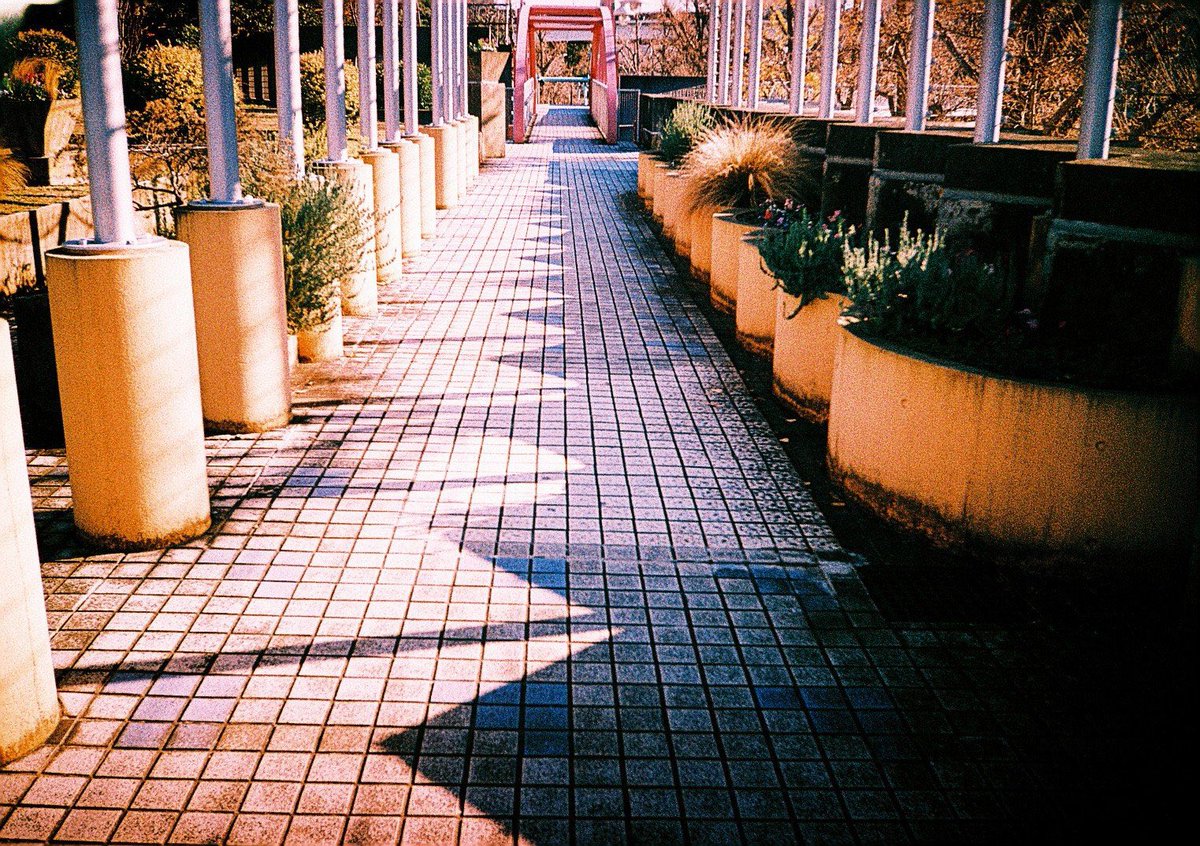 ryoezou's tweet image. LOMO MC-A
KodakE100 VSクロスプロセス

#カメスズ
#Lomo
#フィルム写真